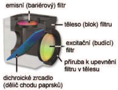 Fluorescenční mikroskopie se běžně provádí v dopadajícím světle (epifluorescence).