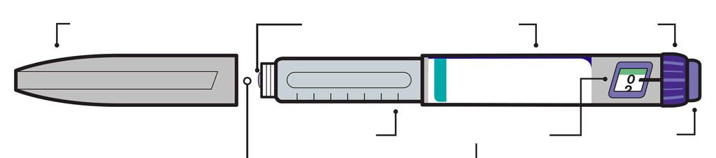Popis pera kryt pera hlava zásobní vložky (místo připojení jehly tělo pera volič dávky zásobník inzulínu okénko s dávkou injekční tlačítko S tímto perem lze použít různé druhy a velikosti jehel, jako