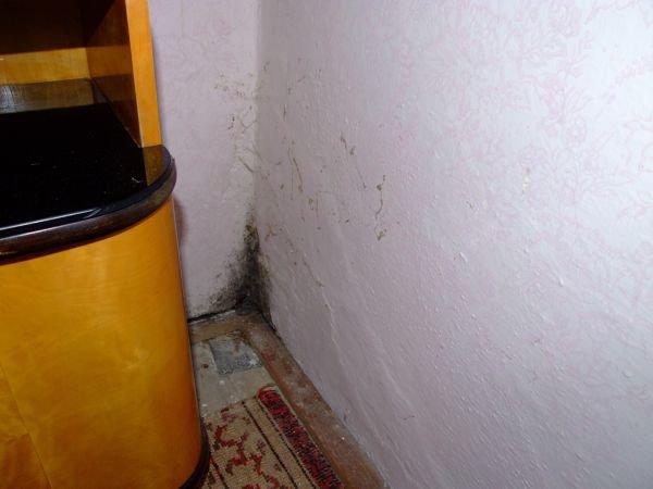 N03 Riziko růstu plísní na stěnách za nábytkem Riziko růstu plísní na stěnách za nábytkem Dům