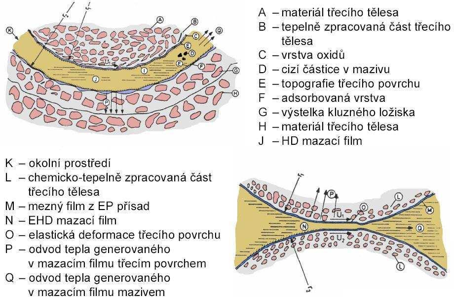 Význam třecích povrchů Jednotlivé mazané kontakty konformních a nekonformních povrchů jsou na obr. 1-3. Obr.