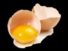 Konzumace vajec Dospělí denně 2x 3x týdně 1x týdně 1x měsíčně a méně x 50 = 96,6 µg/l x