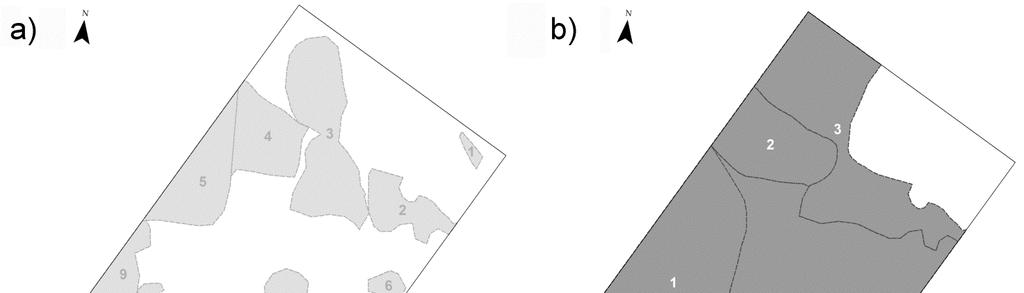 Obr. 38 Polygony přirozeného zmlazení v jádrovém území A v letech 25 (a) a 215 (b). Tab.