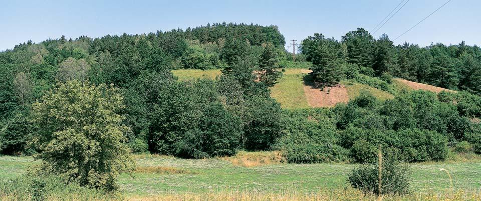 CHKO Kokofiínsko památka De tenské pastviny JiÏní svahy De tenského vrchu (3,8 m n. m.), 0,5 km severnû obce De tná.