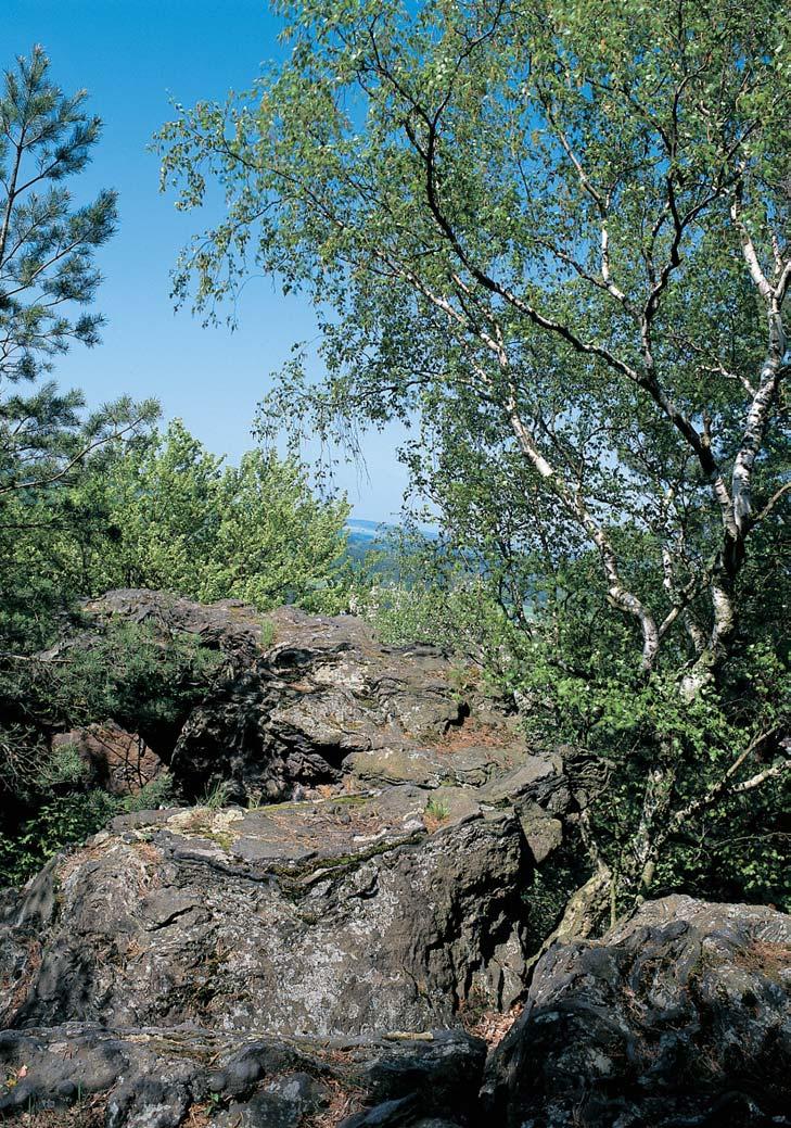 CHKO Kokofiínsko GEOLOGIE PfieváÏnû stfiednû aï hrubû zrnité nebo hrubozrnné, ojedinûle aï tûrãíkovité kfiemenné pískovce kvádrové ve vrcholové ãásti kopce patfií stfiední ãásti jizerského souvrství.