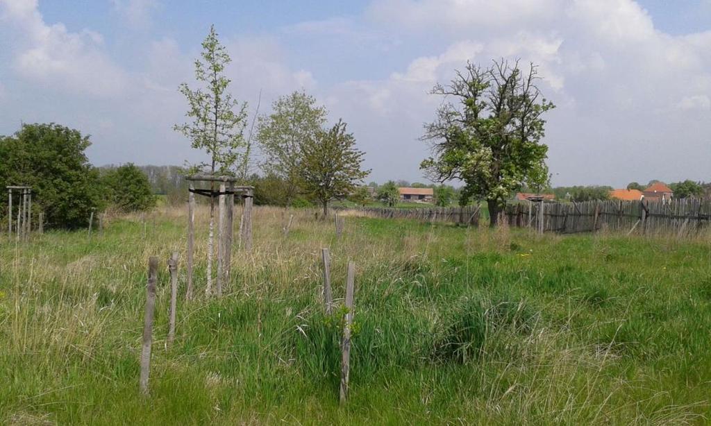 3. Zlepšení funkčního stavu biocenter a biokoridorů ÚSES Realizace interakčních prvků podporujících