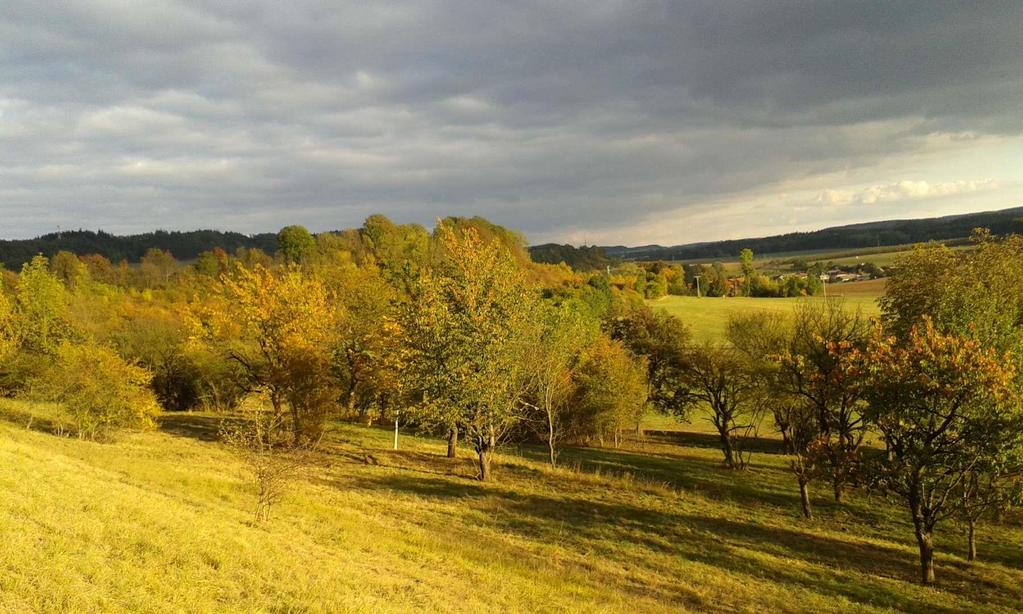 Doporučujeme konzultovat záměr předem, konzultovat