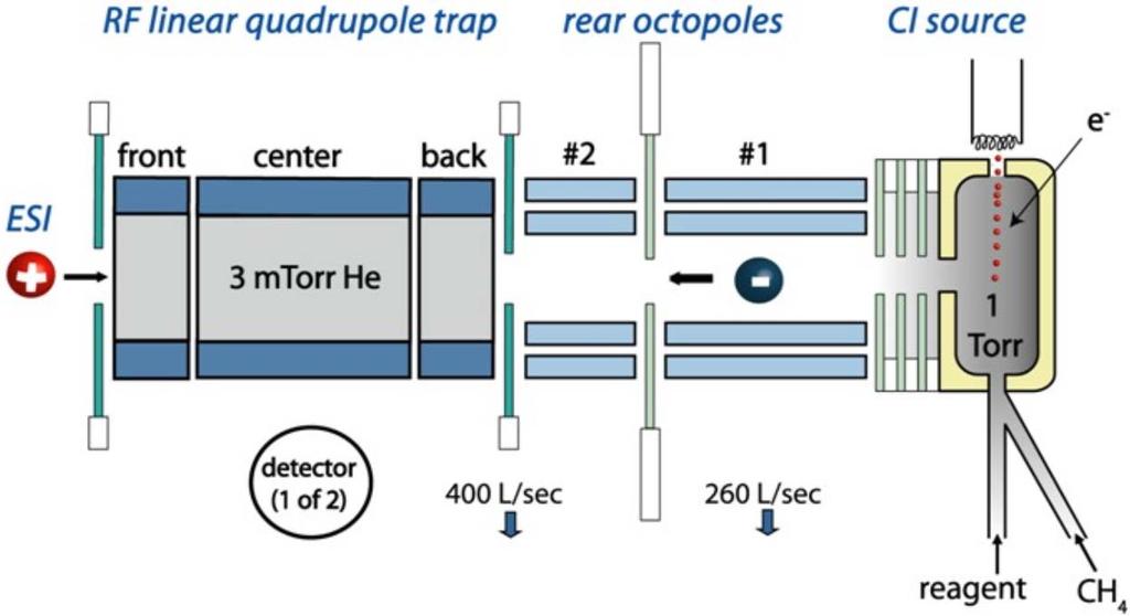 Metody fragmentace iontů Disociace přenosem elektronu (Electron Transfer Dissociation, ETD) Fragmentace vícenásobně nabitých iontů po jejich reakci s radikál-anionty.