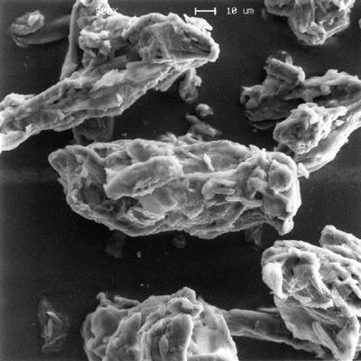 Obrázek č. 2: Částice silicifikované mikrokrystalické celulosy (zvětšení 500x) 12 4.1.2. MicroceLac 100 Jedná se o směsné suché pojivo připravené sprejovým sušením, složené ze 75 % monohydrátu α-laktosy (dále jen laktosa) a 25 % mikrokrystalické celulosy.