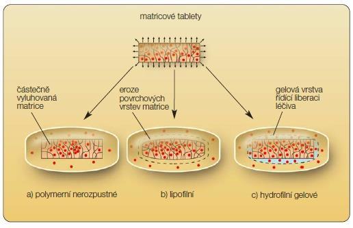 MATRICOVÉ TABLETY Matricové tablety jsou jednoduché lékové formy, které fungují jako celek.