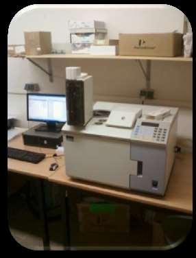 GC/FID Autosystem XL, Perkin Elmer Plynový chromatograf Plynový chromatograf s dvěma plamenoionizačními detektory Možnost provádění konfirmačních analýz souběžně na dvou