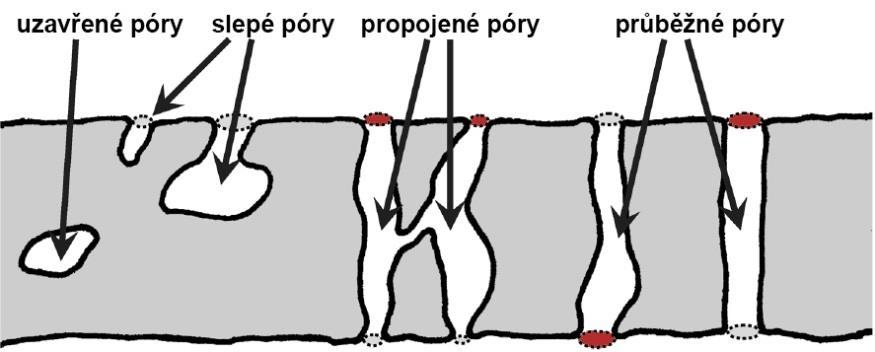 Vzhledem k trvanlivosti jsou nejdůležitější makropóry, které lze vypudit dostatečným zhutněním, a kapilární póry, které jsou silně ovlivněny vodním součinitelem a stupněm hydratace.