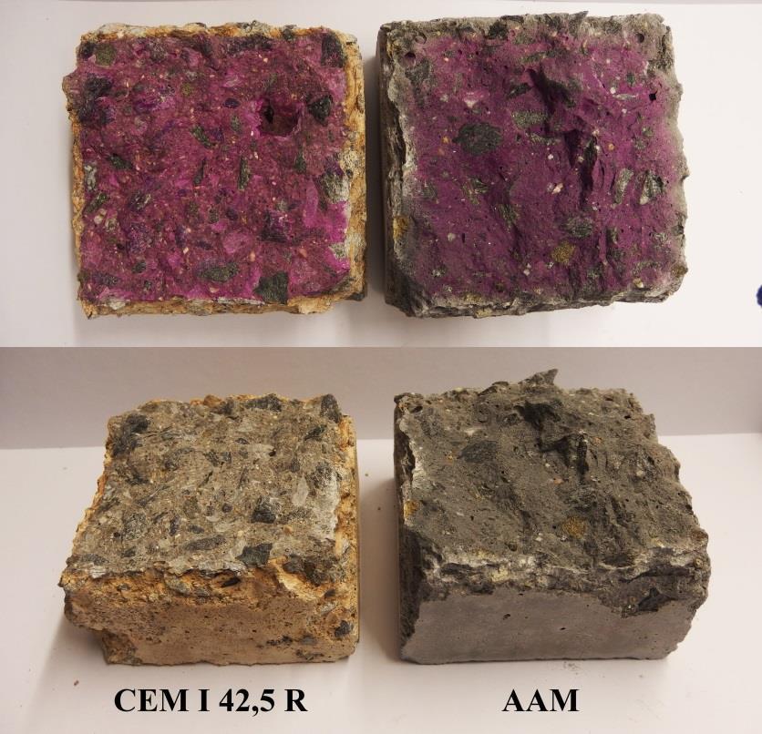 Obr. 31 Lomová plocha vzorku AAM a cementového betonu po ponoření v kyselině octové po dobu 56 dnů. V horní části obrázku plocha zbarvená fenolftaleinem. 4.3.2 XRD Spektrum kyselinou zkorodované části vzorku AAM získané XRD analýzou bylo srovnáno se spektrem referenčního vzorku AAM.