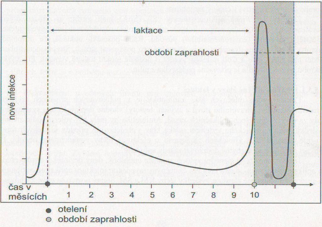 spočívá jednak v ekonomicky méně náročných výrobních nákladech a dále v absenci vzniku rezistence. Obr. 1: Incidence mastitid v průběhu reprodukčního cyklu (Thiel a Dodd, 1997) 4.