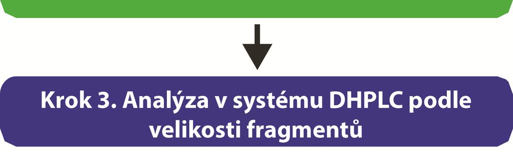 Vzhledem k tomu, že tyto somatické mutace nemusí být rozptýleny v nádoru rovnoměrně, mohou být výsledné analýzy mutací z různých částí stejného nádoru různé.