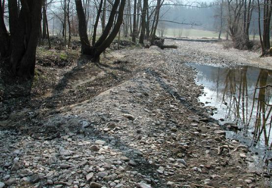 Obr. 8 Opuštěné koryto Volyňky nad Malenicemi. K přeložení koryta došlo v důsledku protržení pravého břehu Volyňky oslabeného dřívější těžbou říčních štěrků Výrazné poškození břehu, břehová nátrž.