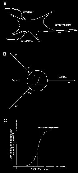 chyby - S:R=10000:1 - paralelní - informace na synapsi = Xn.