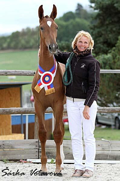 pony. Výborné zázemí pro pořádání náročných 4denních závodů našel náš jezdecký klub v Bolehošti-Lipinách, kde se ve spolupráci se SK SOKOL Lipiny vše odehrávalo.