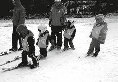 Téhož dne a roku bylo založeno také JZD Jetřichovice, základ tvořili členové původního Strojního družstva s 19 členy a 110 ha 1966 v neděli 17.