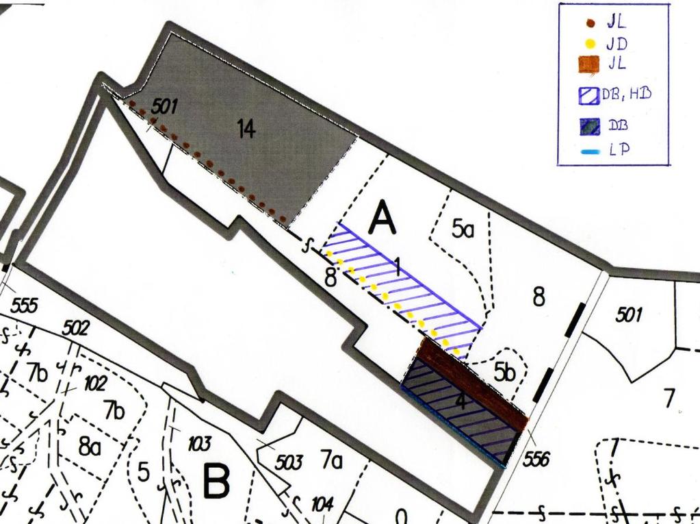 Vančice 104 D0 Jižní ½ porostní skupiny je mezernatá a vyžaduje vylepšení.