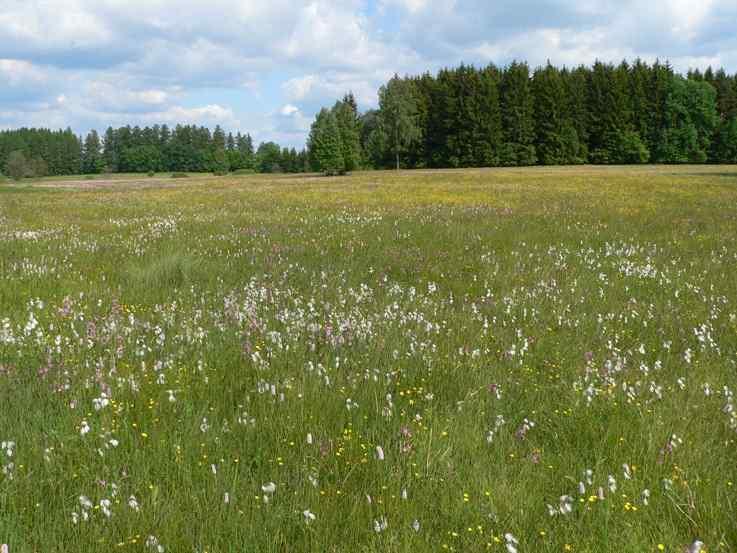 pískovny, doly