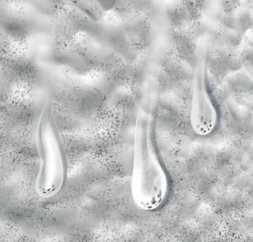 Sušší, čistější, odolnější Vodoodpudivý, hydrofobní efekt dramaticky snižuje přilnavost nečistot na fasádě.