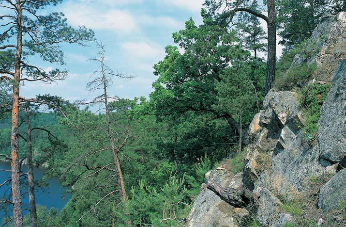 Horninov podklad tvofií na vût inû plochy pfiírodní rezervace usmûrnûn amfibol-biotitick a biotitick granodiorit ãervenského typu, do severního okraje zasahuje v bûïek biotitického granodioritu