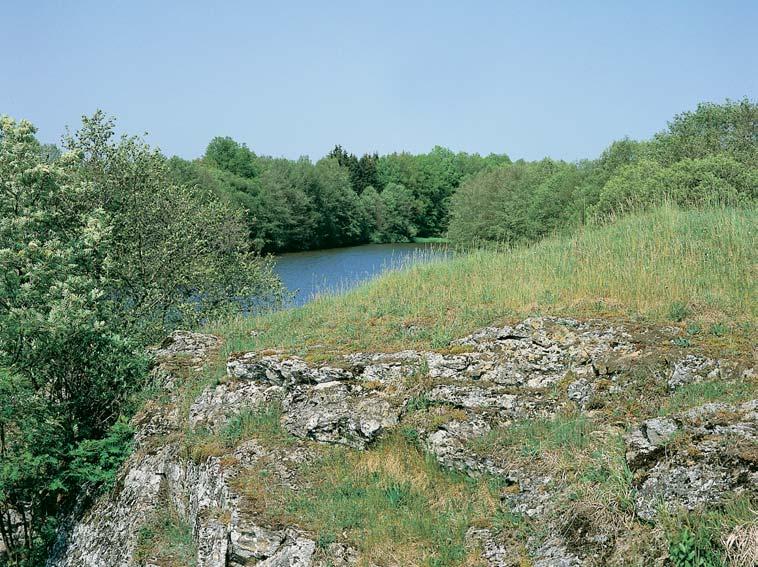 âeskobudûjovicko GEOLOGIE Skalní podloïí tvofií horniny pestré jednotky moldanubika, reprezentované zde vloïkami krystalického vápence amramor-erlanového stromatitu v biotitické pararule.