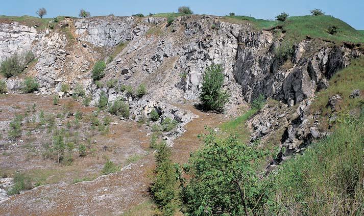 KVùTENA Uvnitfi lomu a na jeho stûnách jsou nezapojená kalcifilní spoleãenstva skalních tûrbin, sutí, drolin a mûlk ch karbonátov ch pûd (Potentillion caulescentis, Stipion calamagrostis, Alysso