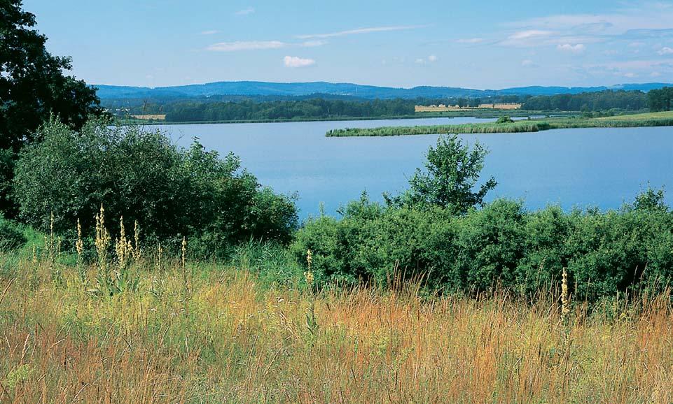 Okres Písek Národní pfiírodní rezervace eïabinec a eïabinecké tûnû Rybník eïabinec (87,6 ha) s pfiilehl mi tûnûmi v pfiirozené terénní prohlubni v blízkosti nivy Otavy, km severozápadnû od obce