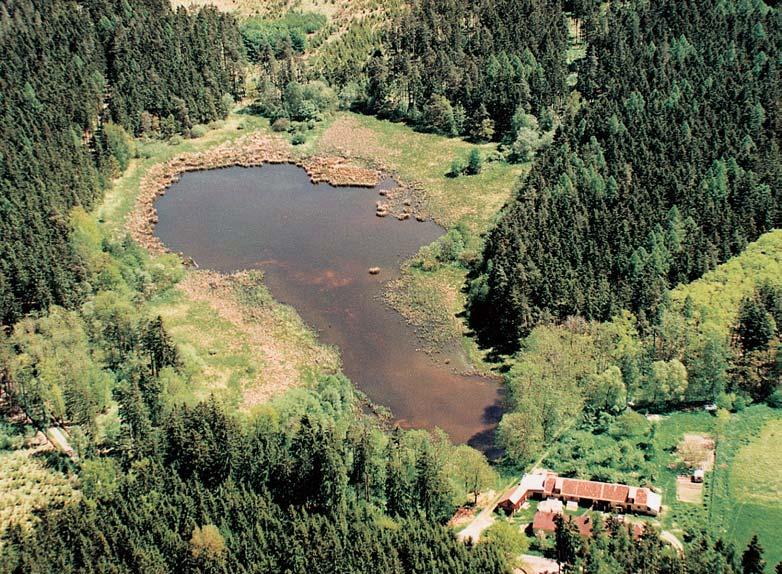 Okres Písek vodní (Oenanthe aquatica) a Ïabník jitrocelov (Alisma plantago-aquatica). Ve vnûj ím okraji litorálu najdeme niï í ostfiicové porosty s dominantní ostfiicí zobánkatou (Carex rostrata).