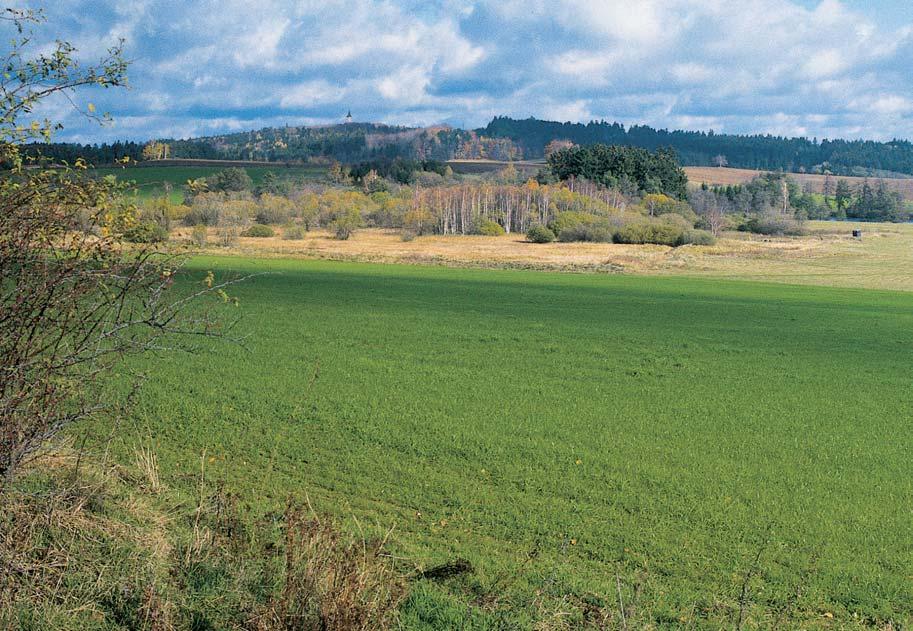 OKRES JIHLAVA