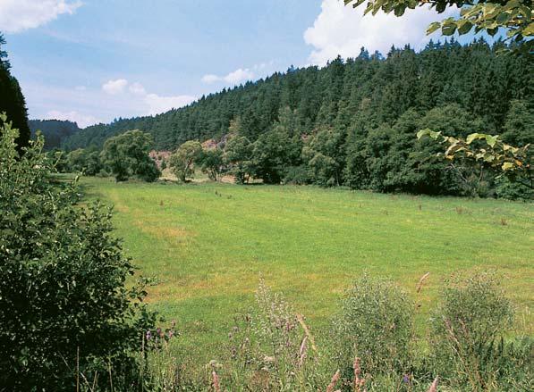 Dal ími v znamn mi zdroji jsou tzv.