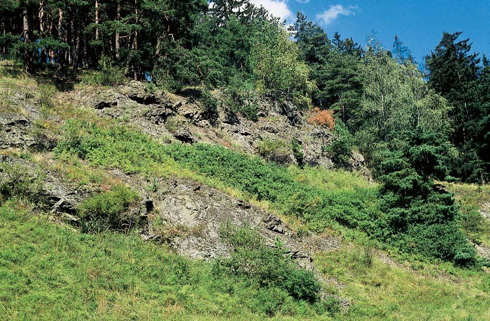Jihlavsko 3 V slunné skalnaté svahy v údolí Brtnice patfií k nejcennûj ím ãástem pfiírody v okolí Jihlavy.