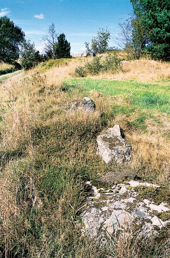 kr ch údolních svazích místy skalní v chozy, na v chozech s jiïní expozicí i s xerotermní vegetací.