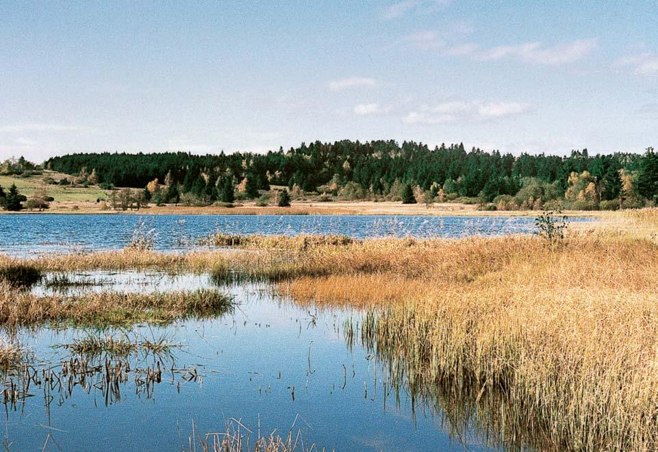 Okres Jihlava Nejvy í (jihozápadní) ãást okresu náleïí k Javofiické vrchovinû. Tento geomorfologick celek âeskomoravské vrchoviny má nejvût í stfiední v ku (603,5 m n. m.). Na území okresu leïí hlavnû jeho podcelek Jihlavské vrchy sjavofiicí (836,5 m n.