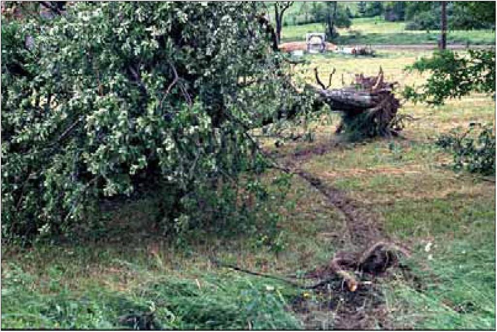 Photo Martin Setvák, Velká pa seka. Obr. 17 Třírozměrná struktura radarové odrazivosti supercelární bouře z pohledu radaru Brdy 31.5.200113:40 UTC.