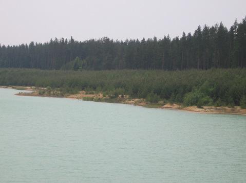 10. Suchdol nad Lužnicí - monokultura borovic v příbřežním