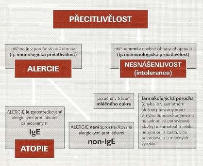 připomínat alergickou reakci, jsou potraviny obsahující budivé aminy (např.: histamin, serotonin aj.). Nebo se také může jednat o infekci zažívacího traktu např.