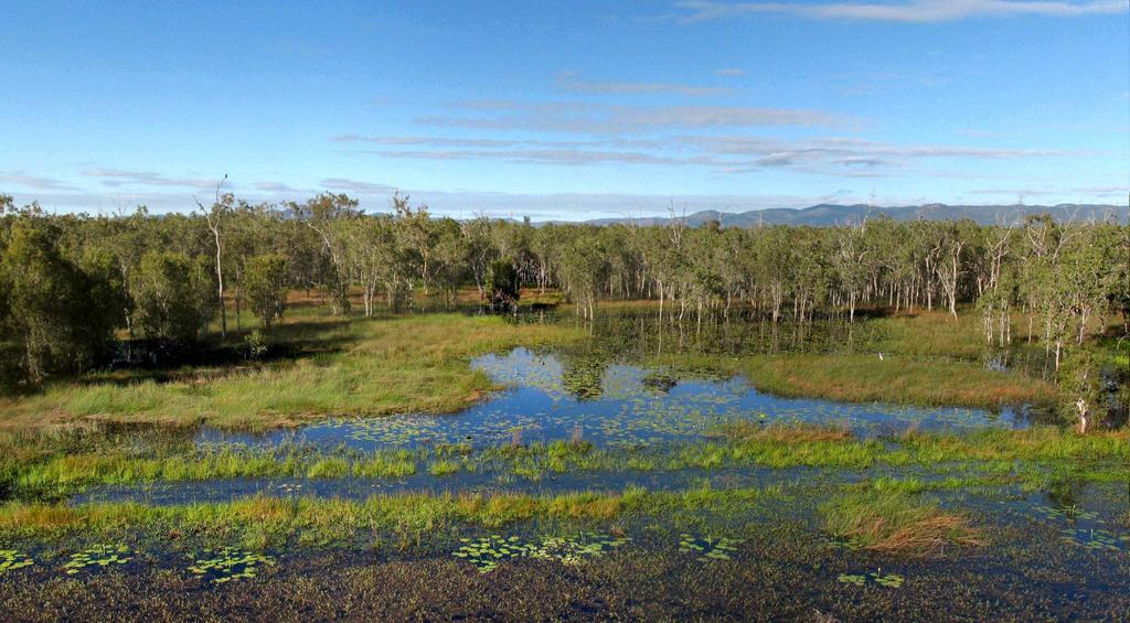 Ross Dam Wetland ( Vilis Nams) Mokřad u Ross Dam river v SV Austrálii strukturně velmi bohatý, zahrnuje rozmanitá rostlinná