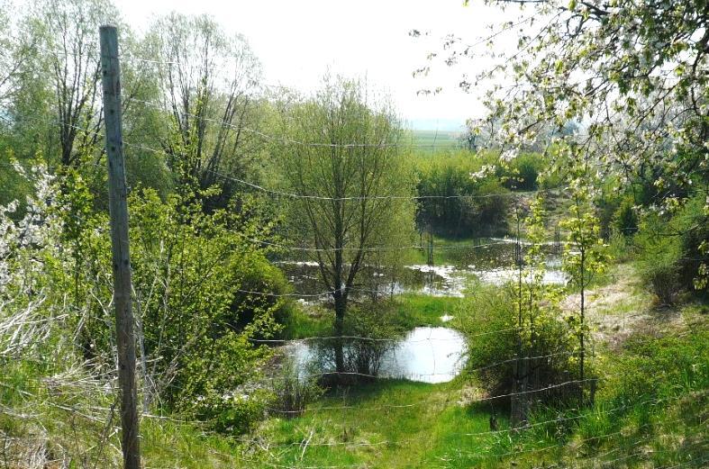 01 Představení Pobočky Nymburk Působnost pobočky: Okresy Nymburk a Praha-východ Výměra celkem 160553 ha, z toho orné půdy 94304 ha Výsledky pozemkových úprav: Do katastru nemovitostí je zapsáno 35