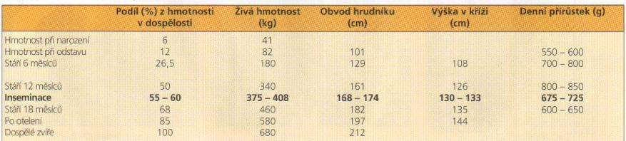 Monitorování tělesné hmotnosti kritérium při prvním zapouštění jalovic optimální přírůstek/den = 700 800 g Zapouštění jalovic v optimální tělesné hmotnosti, kondici a věku 60 70% z hmotnosti dospělé