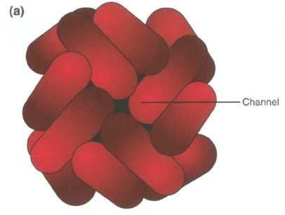 Ferritin zásobní forma Fe v rostlinách, živočiších, bakteriích i