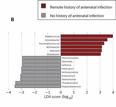 Placentární mikrobiom Odlišná microbiota po proběhlé antenatální infekci a ATB Th hojnější zastoupení -Streptococcus -Acinetobacter /Pseudomonadales/ -Klebsiella The placenta