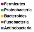 orální mikrobiom >600 druhů Streptococcus, Staphylococcus sp., Lactobacilli, Enterobacteriaceae,Corynebacteria etc.