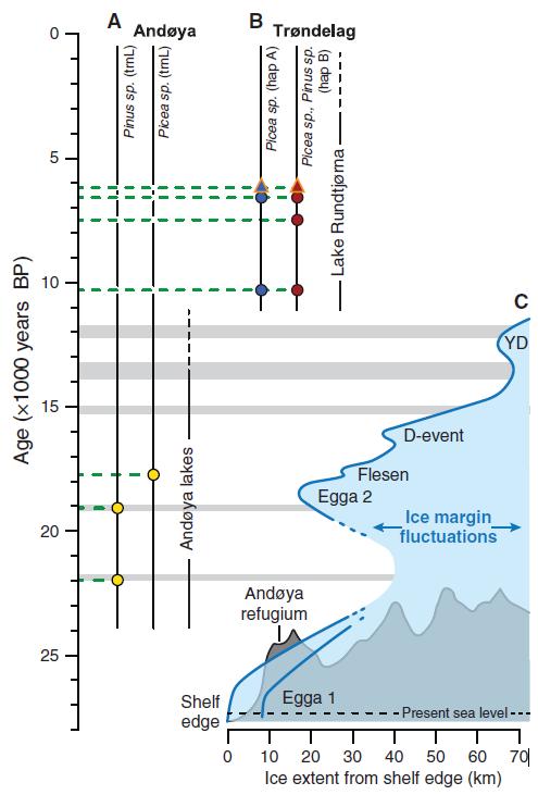 scénář postgalciálního šíření těchto haplotypů fosliní DNA smrku nalezena v jezerních