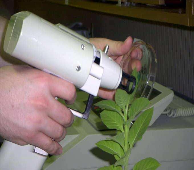Biolistická metoda transformace -