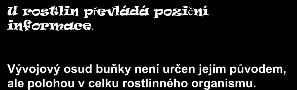 U rostlin převládá poziční informace.