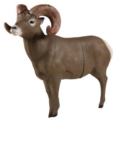 Bighorn Ram I Elk I