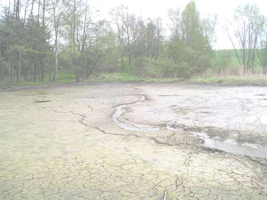 Jiţ dříve (před intenzivní výrobou minerálních hnojiv) bylo rybniční bahno hodnoceno jako vhodný materiál pouţitelný především k výrobě kompostů.