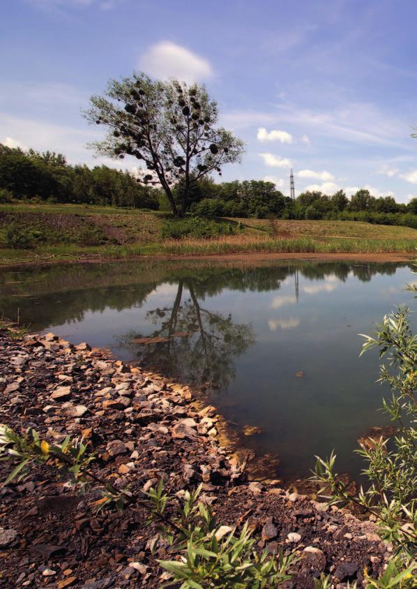 New World Resources Životní prostředí Snížení emisí TZL za 5 let Provozy NWR emise PAH 2 tuny 35% Odhad data budou auditována v září 203. 99,8 procent hodnoty pochází z koksárenského provozu OKK.